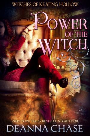 Cover of the book Power of the Witch by James A. Baker