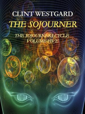 Book cover of The Sojourner