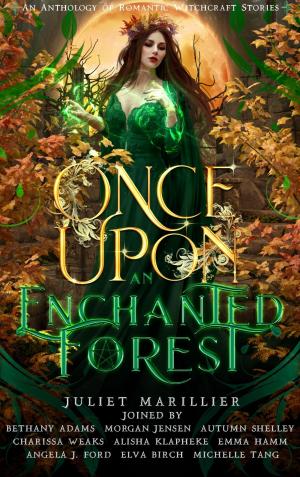 Book cover of Once Upon an Enchanted Forest