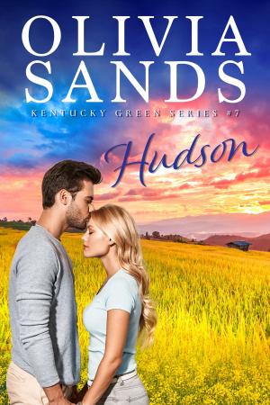Cover of the book Hudson by Jen Greyson