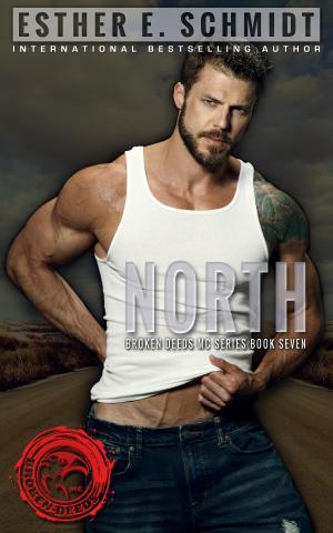 Cover of the book North by Barbara Mcmahon