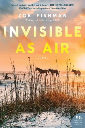 Cover of the book Invisible as Air by Christina Baker Kline