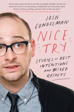 Cover of the book Nice Try by Richard Shenkman
