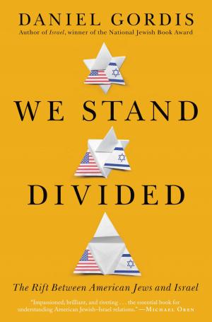 Book cover of We Stand Divided