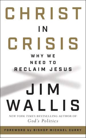 Cover of the book Christ in Crisis by Brad Davidson