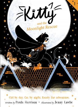 Cover of the book Kitty and the Moonlight Rescue by Katherine Hannigan