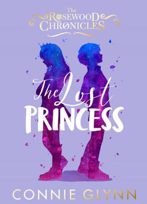 Book cover of The Lost Princess
