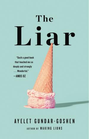 Cover of the book The Liar by Malcolm Mackay