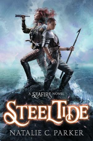 Cover of the book Steel Tide by David A. Adler