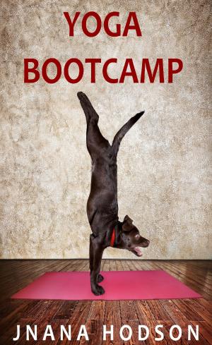 Book cover of Yoga Bootcamp