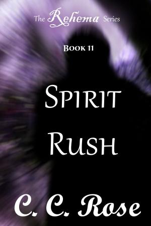 Cover of the book Spirit Rush by Betty Bolte