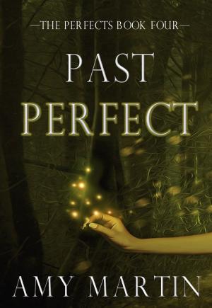 Cover of Past Perfect