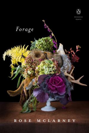Cover of the book Forage by Alice Bergeron