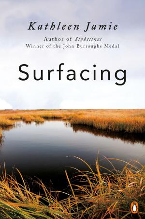 Cover of the book Surfacing by Stephen Arseneault
