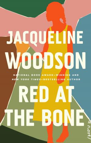 Cover of the book Red at the Bone by Jean Cummings