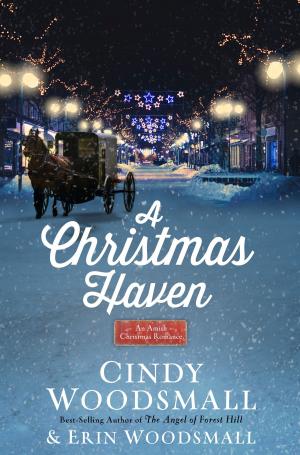 Cover of the book A Christmas Haven by Marcus Brotherton, Mary Margaret Brotherton