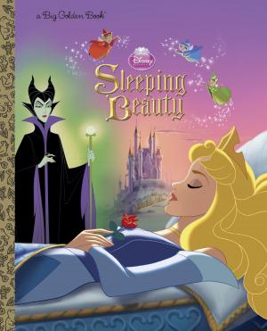 Book cover of Sleeping Beauty Big Golden Book (Disney Princess)