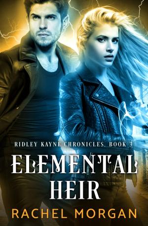 Cover of the book Elemental Heir by DS Delacroix