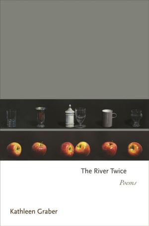 Cover of the book The River Twice by Albert Einstein