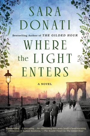 Cover of the book Where the Light Enters by Wendy Holden