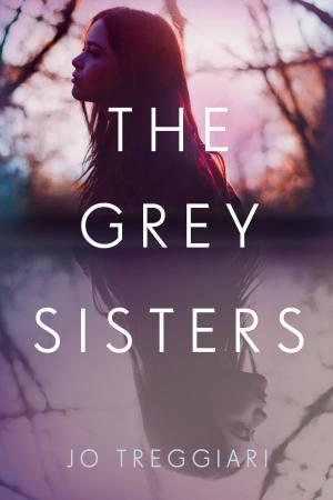 Cover of the book The Grey Sisters by Cary Fagan
