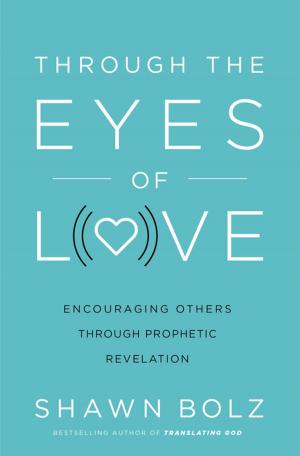 Book cover of Through the Eyes of Love