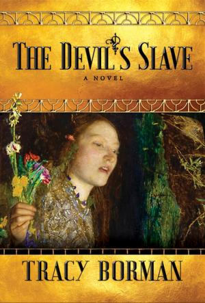 Cover of the book The Devil's Slave by Andrew Keen
