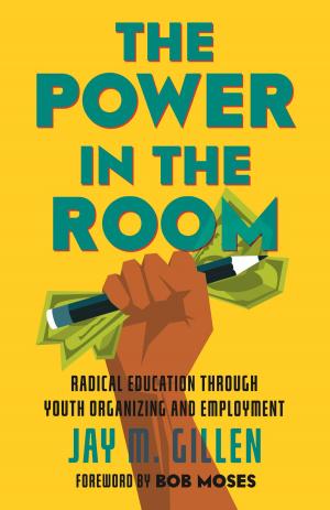 Cover of the book The Power in the Room by Fred Pearce