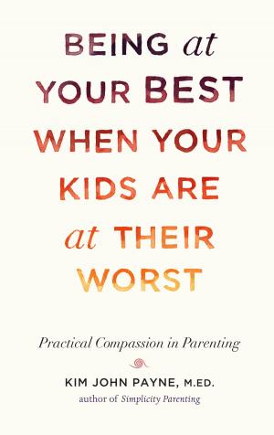 Book cover of Being at Your Best When Your Kids Are at Their Worst