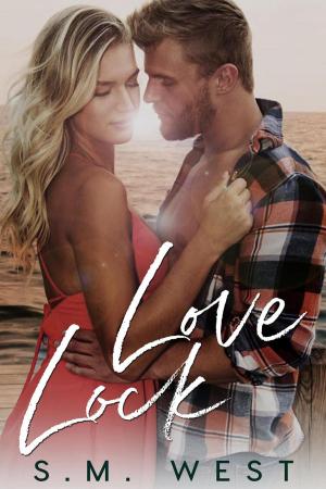 Cover of the book Love Lock (The Love Lock Duet Book 2) by Claire Reigns