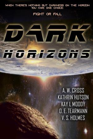 Cover of the book Dark Horizons: A Collection of Near-Future, Dystopian, and Cyberpunk Sci-fi: multi author 7 book box set by Jonathan P. Brazee