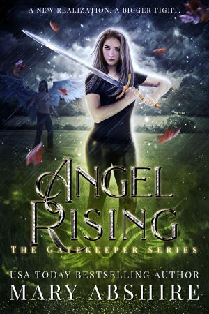 Cover of the book Angel Rising by Natli K VanDerWerken