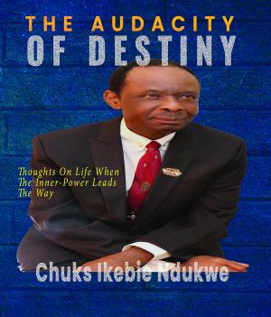bigCover of the book THE AUDACITY OF DESTINY by 