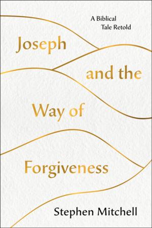 Cover of the book Joseph and the Way of Forgiveness by Anne McTiernan, MD, PhD, Dr. Julie Gralow, MD, Lisa Talbott, MPH