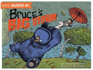 Cover of the book Bruce's Big Storm by Andrew Shvarts