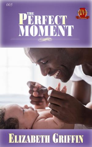 Book cover of The Perfect Moment
