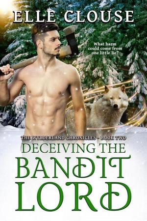 bigCover of the book Decieving the Bandit Lord by 