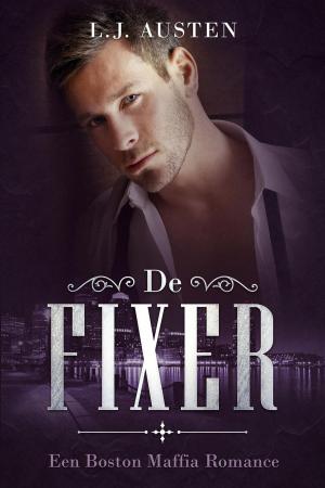 Book cover of De Fixer