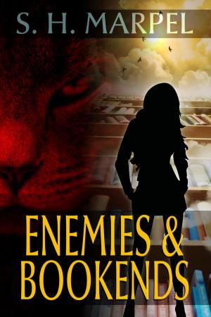 Cover of the book Enemies &amp; Bookends by C. C. Brower, J. R. Kruze