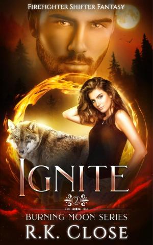 Cover of the book Ignite by A. E. Wasp