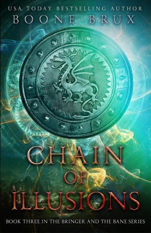 Cover of Chain of Illusions