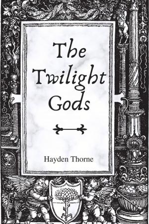 Book cover of The Twilight Gods