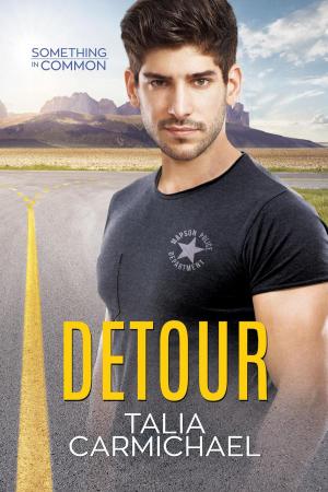 Cover of the book Detour by McKenna Jeffries