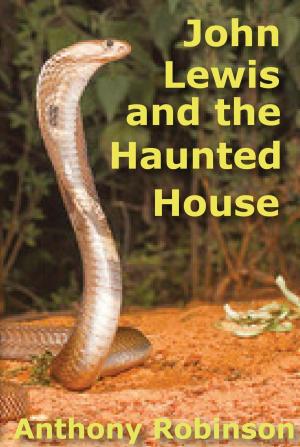 Cover of the book John Lewis and the Haunted House by Royce Day