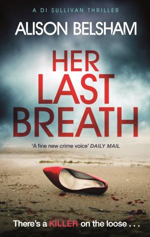 Cover of the book Her Last Breath by Nick Skelton