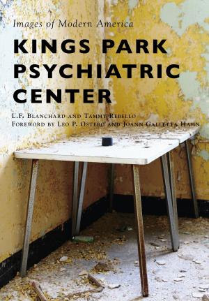 Cover of the book Kings Park Psychiatric Center by Moshe Dayan Gómez Pico