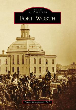 Cover of the book Fort Worth by Julia Johnas