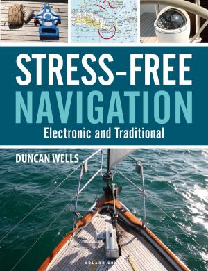 Cover of the book Stress-Free Navigation by Ben Jonson, Robert N. Watson