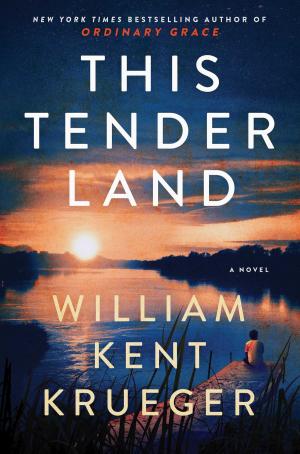 Cover of the book This Tender Land by Elisha Goldstein, Ph.D.
