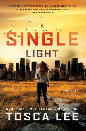 Cover of the book A Single Light by Victorya Michaels Rogers